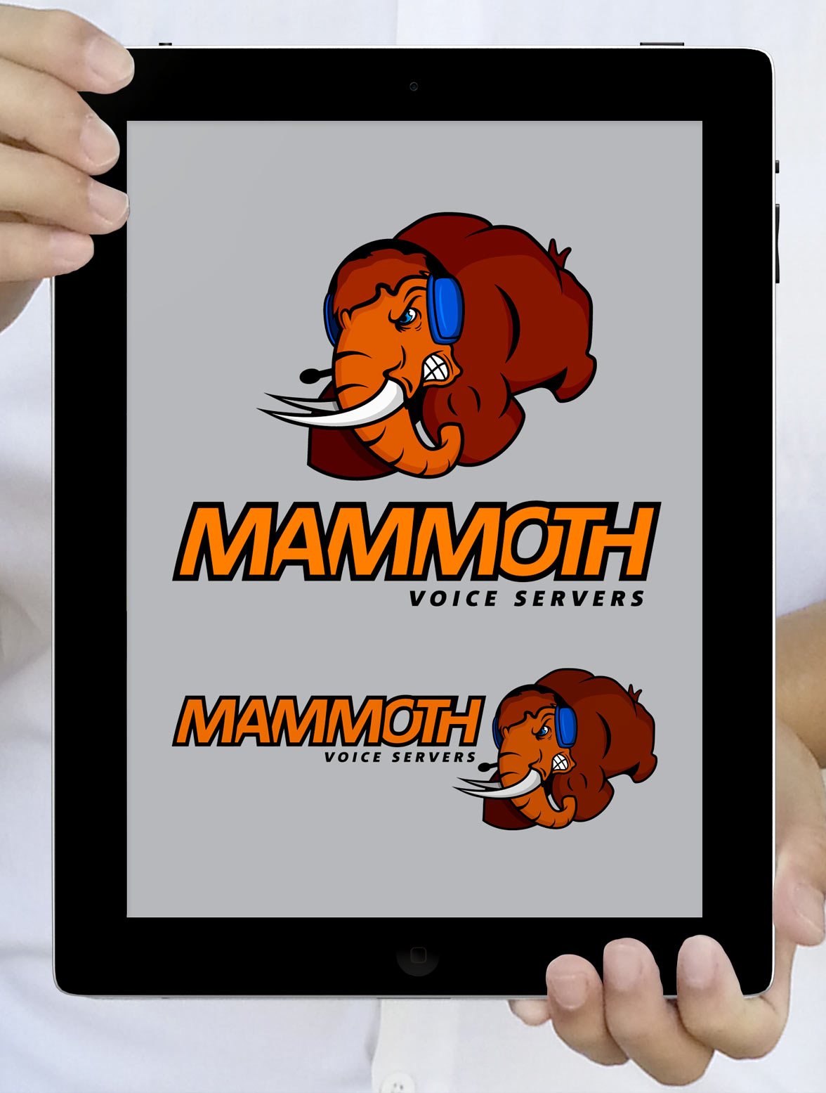 Mammoth Voice Servers